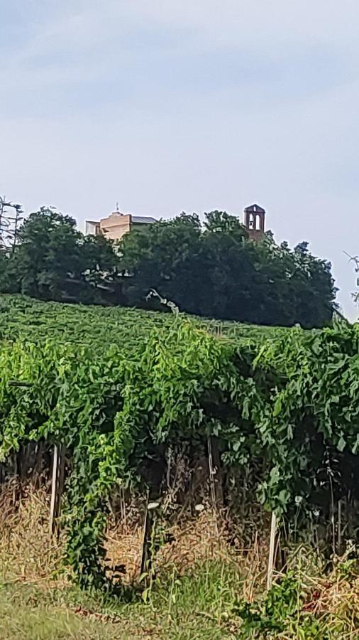 B&B I Tre Ulivi Morro dʼOro Zewnętrze zdjęcie