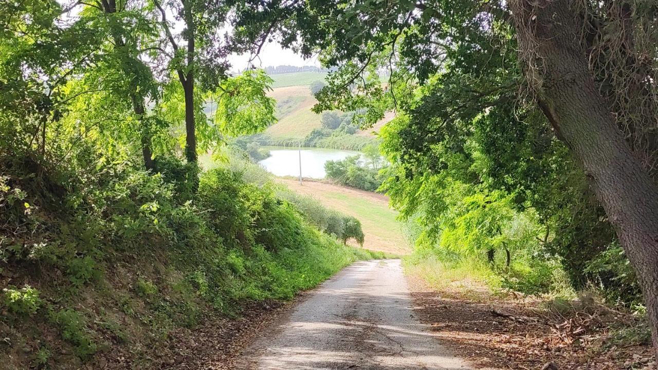 B&B I Tre Ulivi Morro dʼOro Zewnętrze zdjęcie