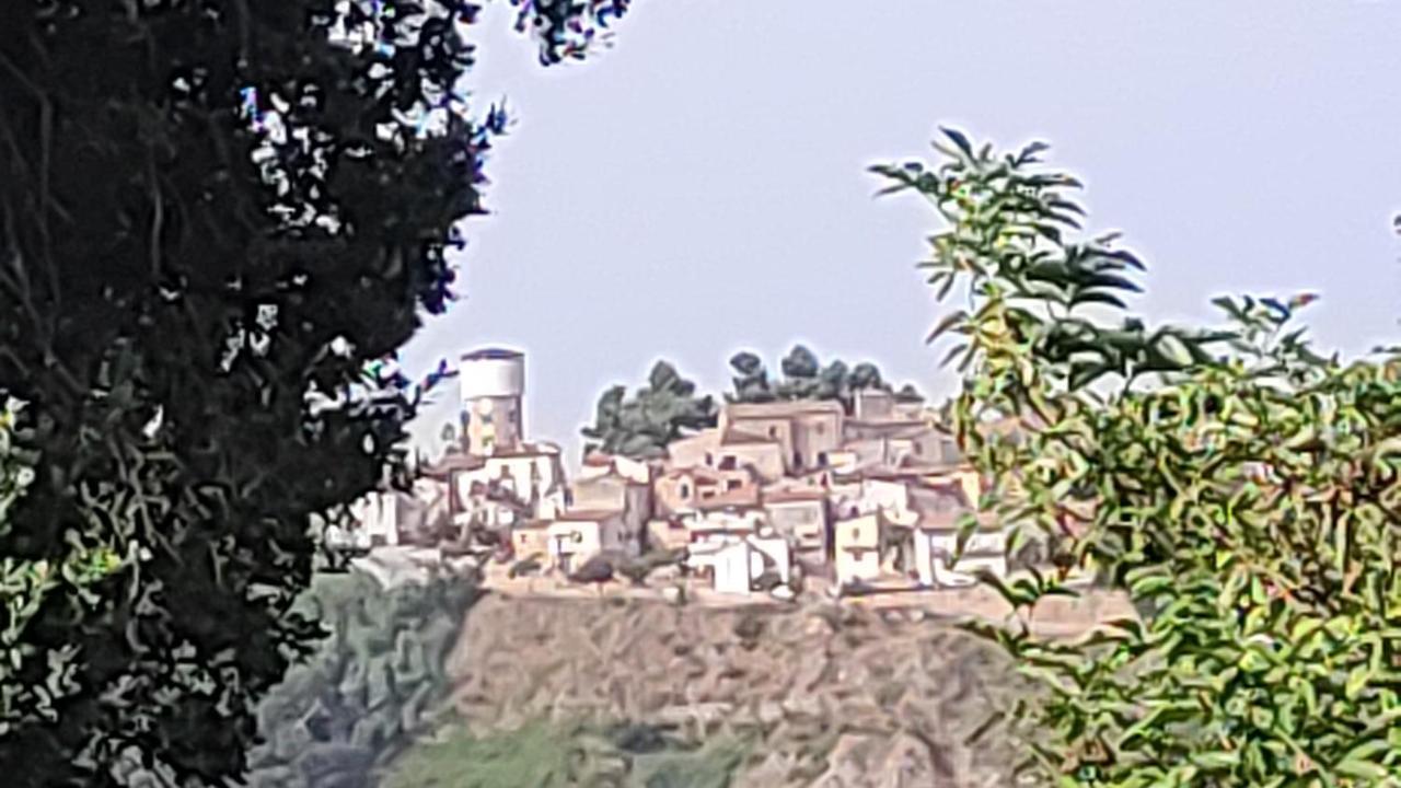 B&B I Tre Ulivi Morro dʼOro Zewnętrze zdjęcie