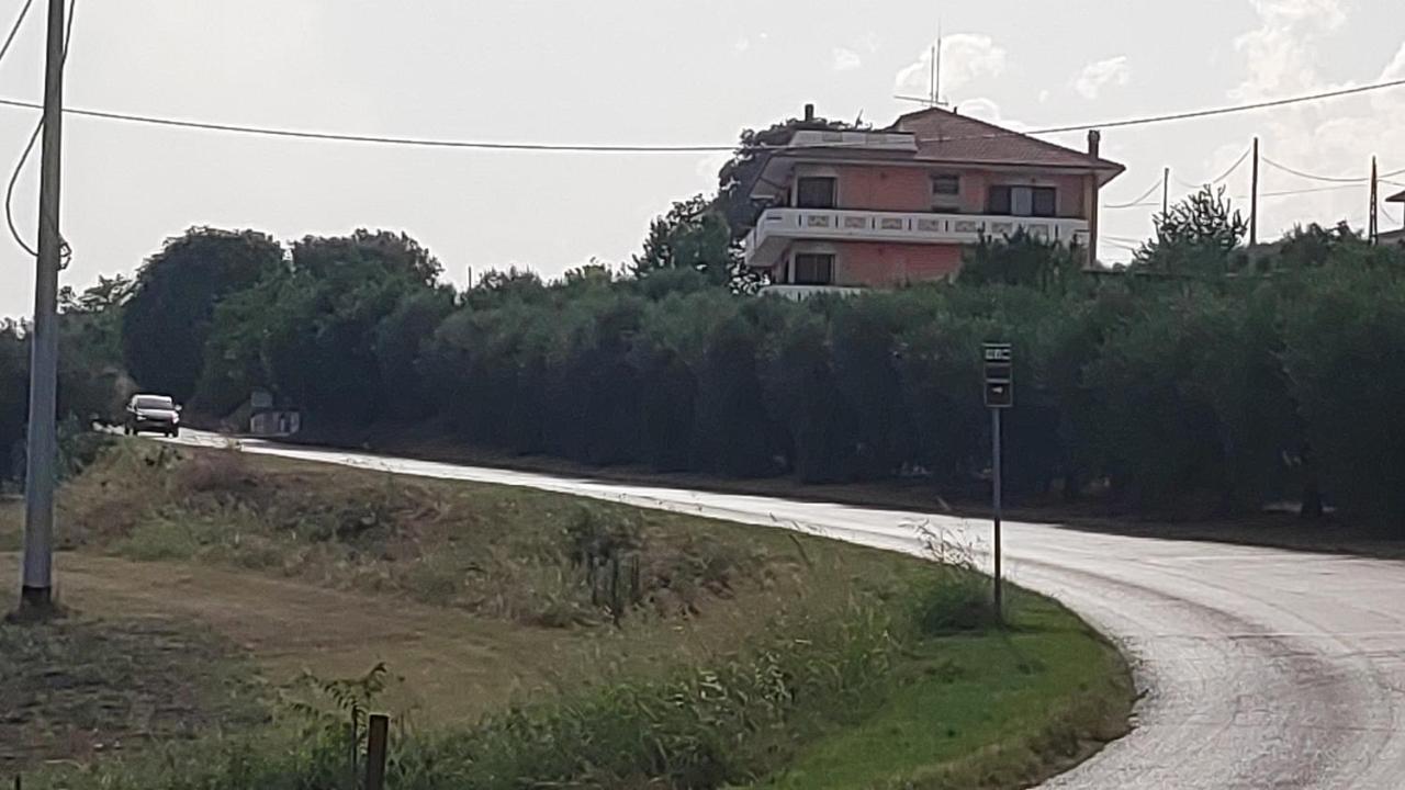 B&B I Tre Ulivi Morro dʼOro Zewnętrze zdjęcie