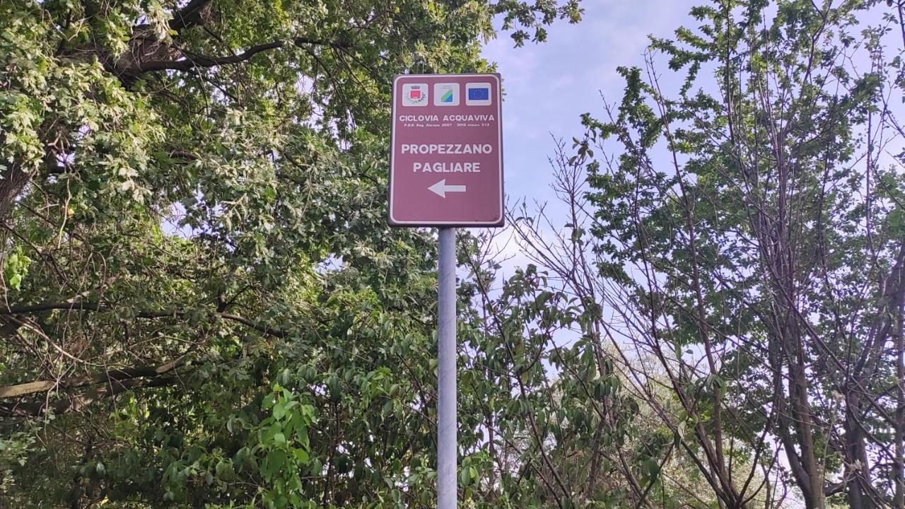 B&B I Tre Ulivi Morro dʼOro Zewnętrze zdjęcie
