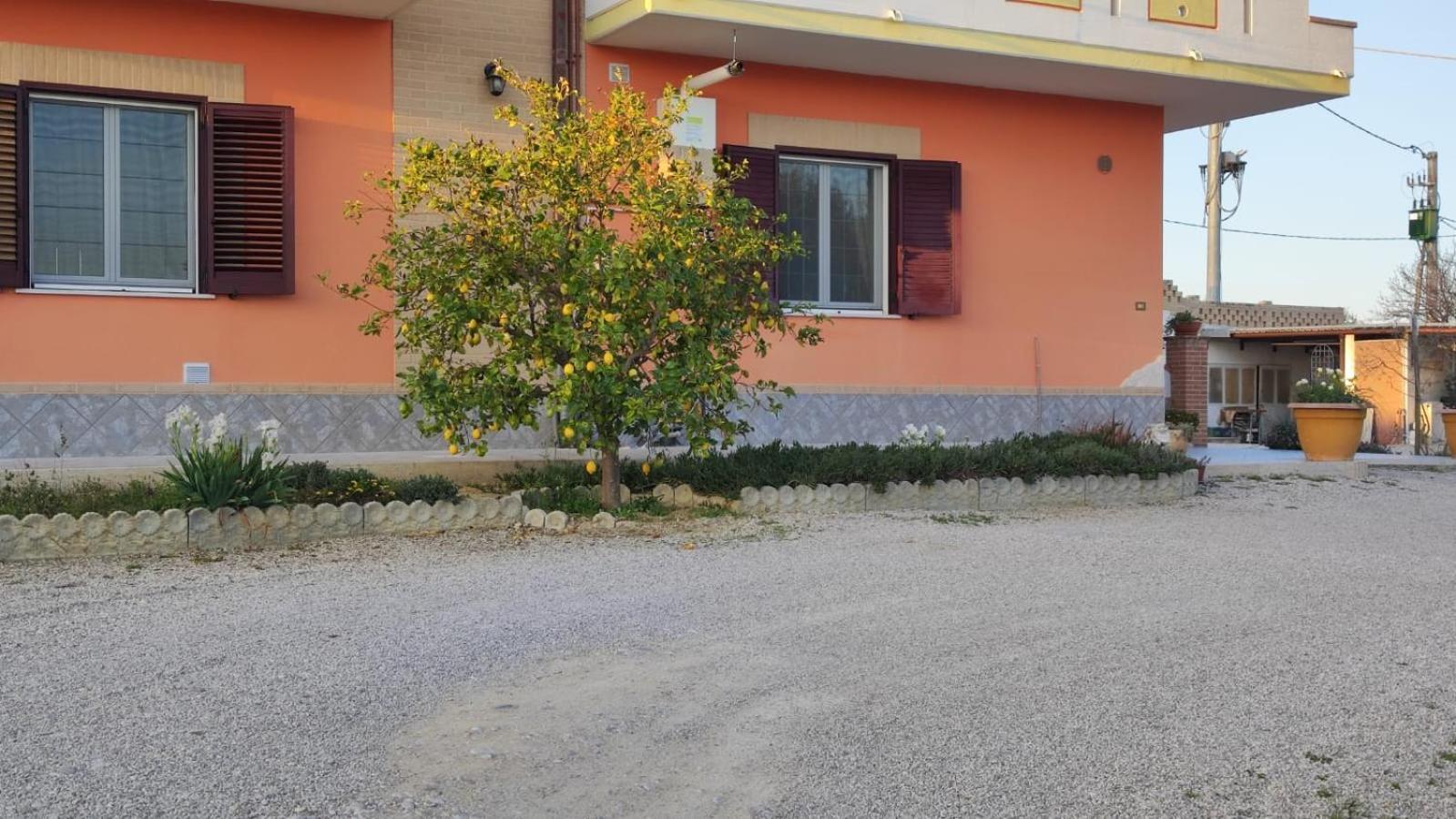 B&B I Tre Ulivi Morro dʼOro Zewnętrze zdjęcie