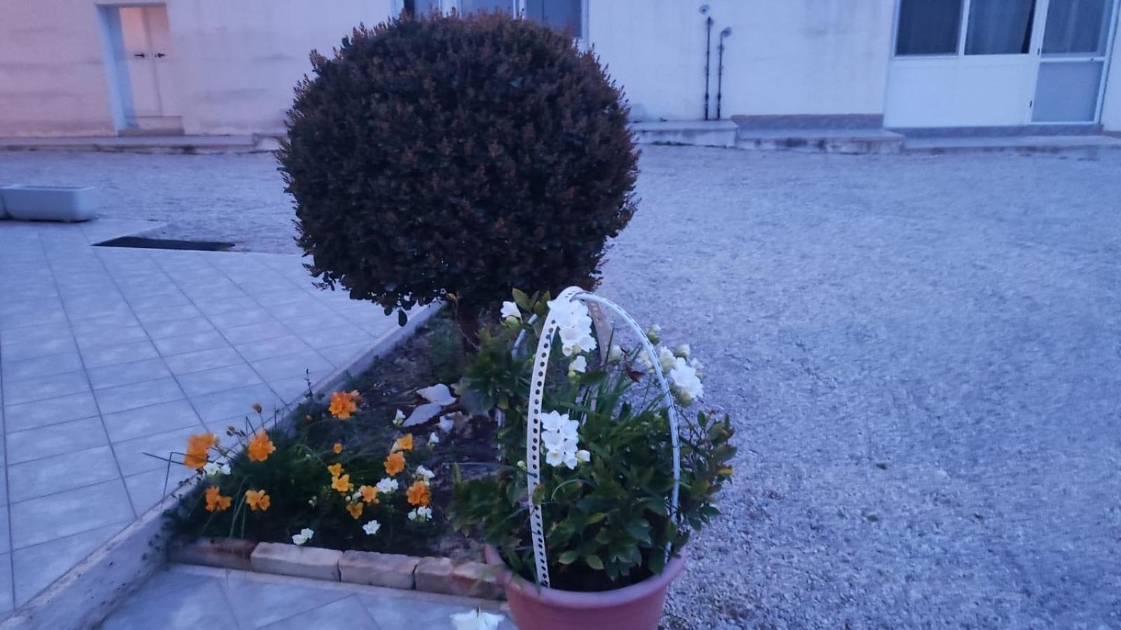 B&B I Tre Ulivi Morro dʼOro Zewnętrze zdjęcie